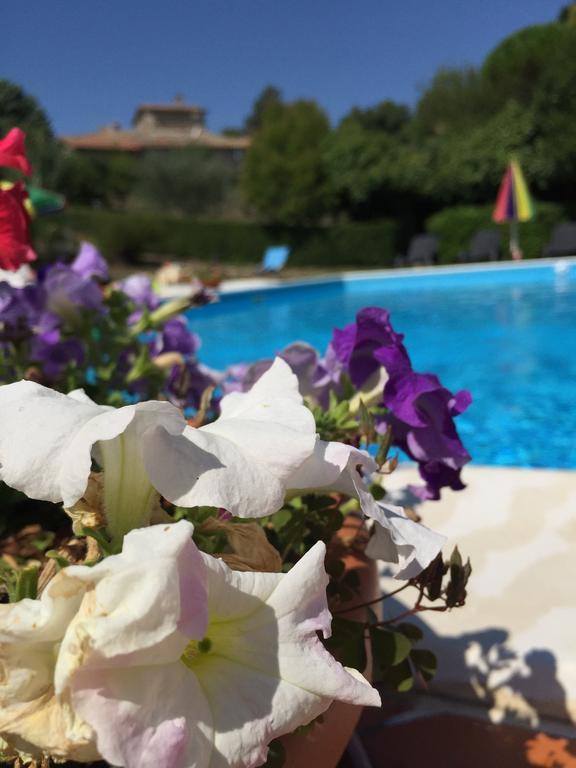 Poggio Paradiso Apartments Mengara 객실 사진
